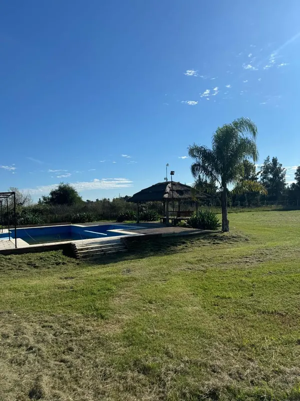 Terreno arbolado — PROYECTO VIDA